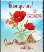 FB_IMG_1683690338106.jpg