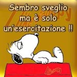 FB_IMG_1682577154515.jpg