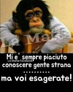 FB_IMG_1683703690729.jpg