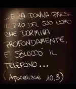FB_IMG_1683815805469.jpg