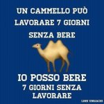 FB_IMG_1683805764278.jpg