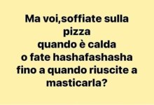FB_IMG_1683789498326.jpg