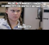 FB_IMG_1683869457173.jpg