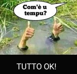 FB_IMG_1683964365691.jpg