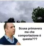 FB_IMG_1683972473522.jpg