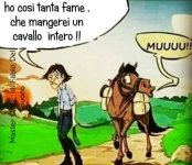 FB_IMG_1683972833573.jpg