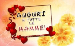FB_IMG_1684056733090.jpg