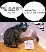 FB_IMG_1684008617769.jpg