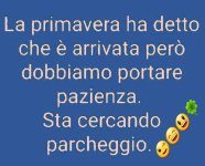 FB_IMG_1684062377231.jpg
