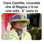FB_IMG_1684067622406.jpg