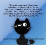 FB_IMG_1683974052853.jpg