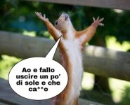 FB_IMG_1684164975630.jpg