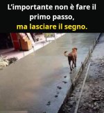 FB_IMG_1684179477319.jpg