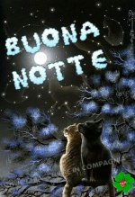 Immagini-per-Buonanotte-amici-9212.jpg