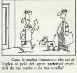 FB_IMG_1684187240351.jpg
