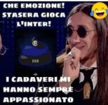 FB_IMG_1681718416727.jpg