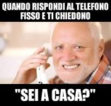 FB_IMG_1684305881154.jpg