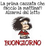 FB_IMG_1684187519883.jpg