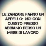 FB_IMG_1684359429725.jpg