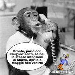 FB_IMG_1684359040685.jpg