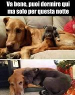 FB_IMG_1684417566663.jpg