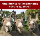 FB_IMG_1684503418005.jpg