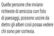 FB_IMG_1684580907527.jpg