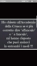 FB_IMG_1684752202251.jpg