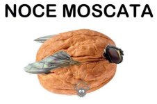 FB_IMG_1684820378661.jpg