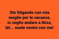 FB_IMG_1684916251053.jpg
