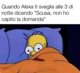 FB_IMG_1684906781149.jpg