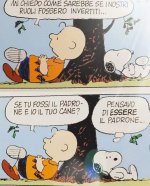 FB_IMG_1684907400356.jpg