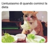 FB_IMG_1684929157777.jpg