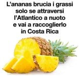 FB_IMG_1685033685667.jpg
