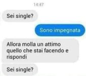 FB_IMG_1685022730775.jpg