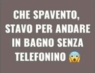 FB_IMG_1685017389042.jpg