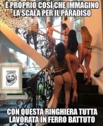 FB_IMG_1685014078717.jpg