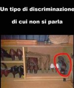 FB_IMG_1685117402812.jpg