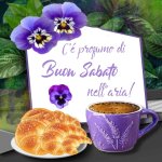FB_IMG_1685141553160.jpg