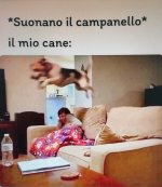 FB_IMG_1685182511466.jpg