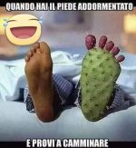 FB_IMG_1685362360947.jpg