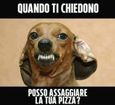 FB_IMG_1685362302020.jpg