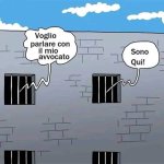 FB_IMG_1685473058951.jpg