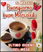 FB_IMG_1685515637804.jpg