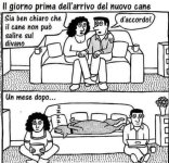 FB_IMG_1685514704748.jpg