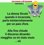 FB_IMG_1685525108890.jpg