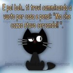 FB_IMG_1685541579644.jpg