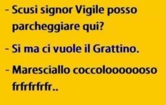 FB_IMG_1685541567807.jpg