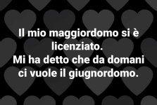 FB_IMG_1685541520293.jpg