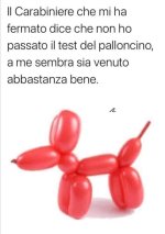 FB_IMG_1685917664919.jpg